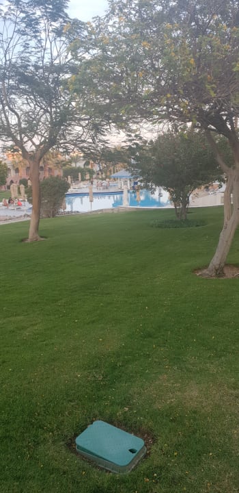 Pool Serenity Alpha Beach