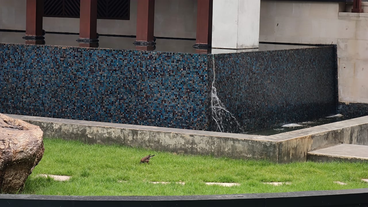 Pool Hotel Mai Samui Beach Resort & Spa