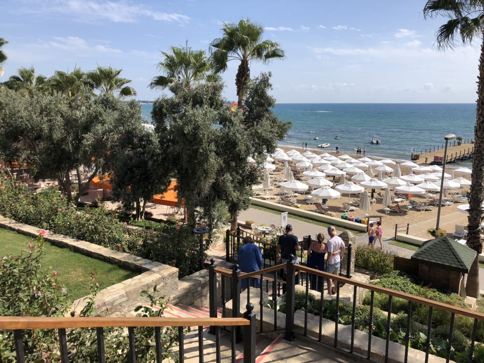 Strand Arum Barut Collection