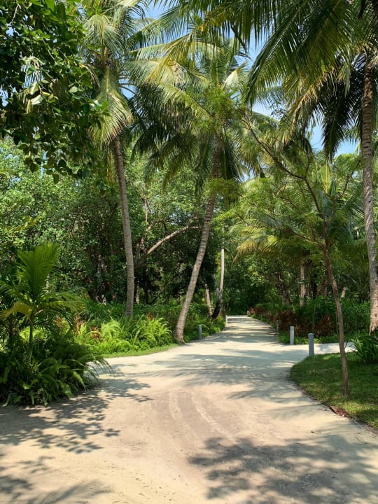 Gartenanlage Meeru Maldives Resort Island