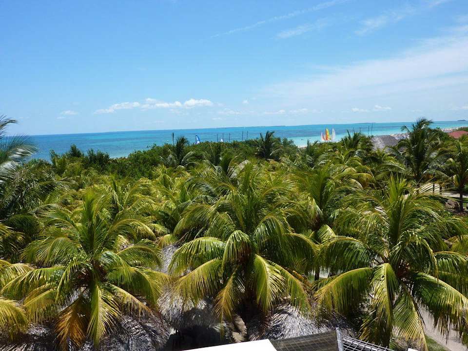 Vyhlad z baru bukanero Iberostar Origin Playa Alameda