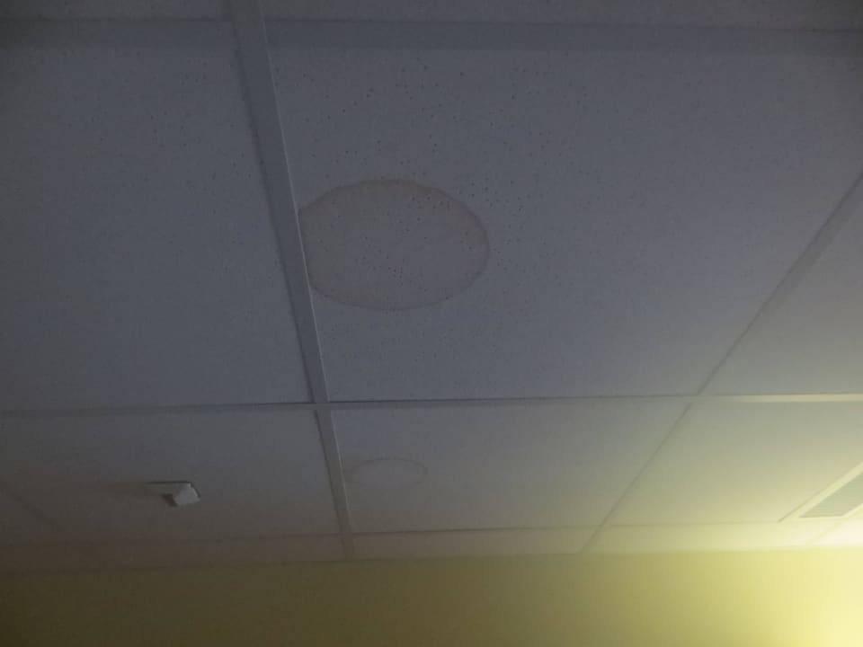 Wasserflecken an der Decke Best Western Plus Amedia Art Salzburg