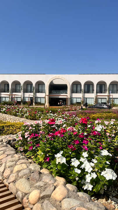 Außenansicht Desert Rose