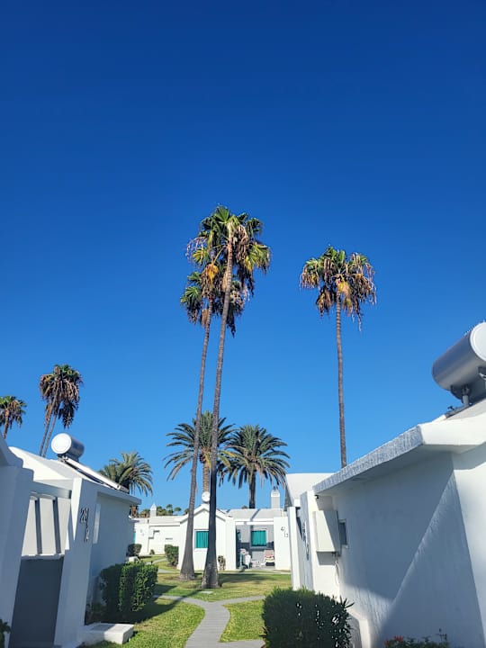 Gartenanlage Canary Garden Club