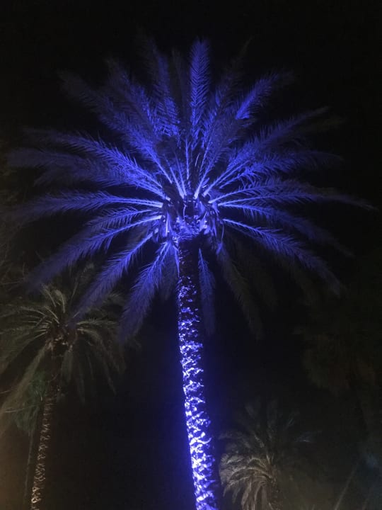 Gartenanlage Hotel Bel Azur Thalasso & Bungalows