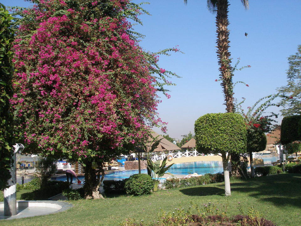 Der Weg zum Pool Pyramisa Hotel Luxor