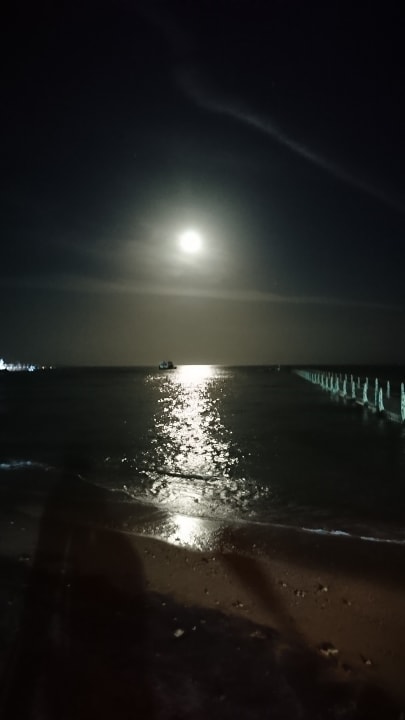 Strand bei Vollmond Pickalbatros Palace Resort