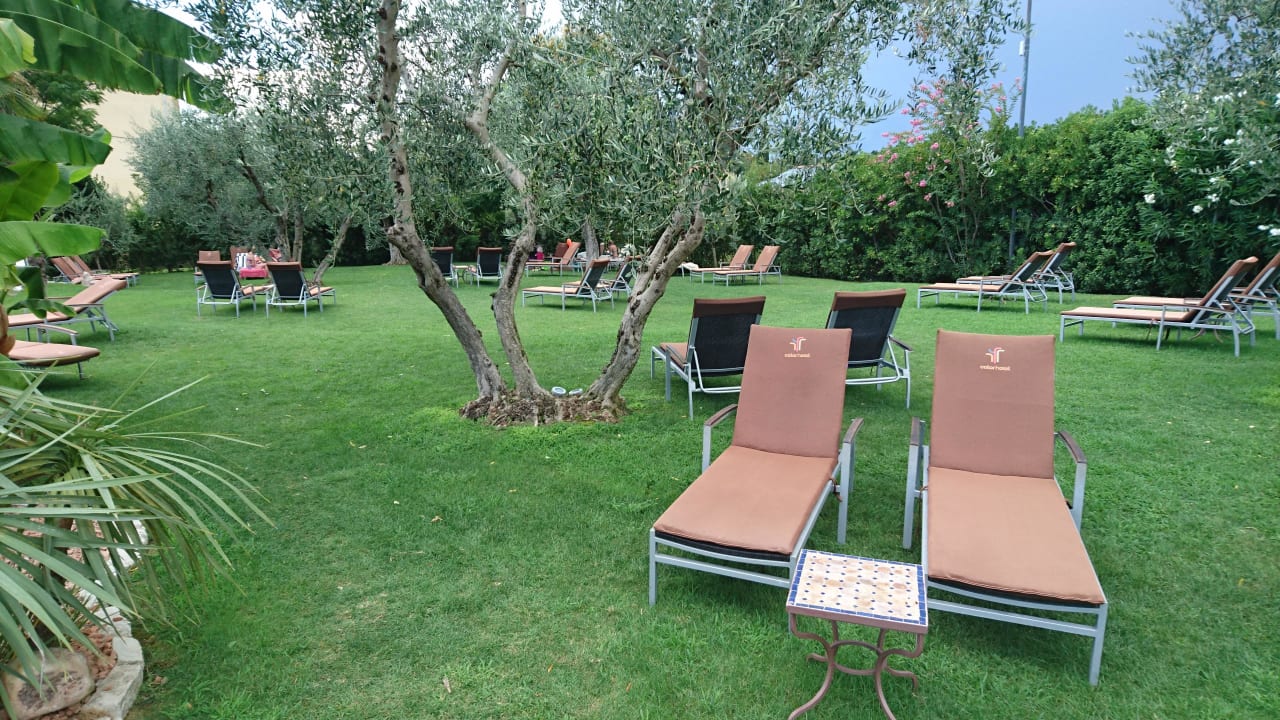 Liegewiese am Pool Color Hotel