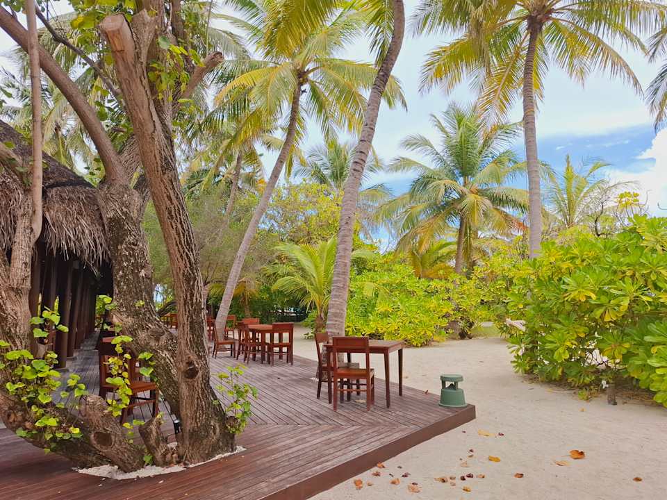 Gastro Summer Island Maldives