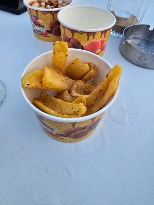 Sport & Freizeit Seashell Vega