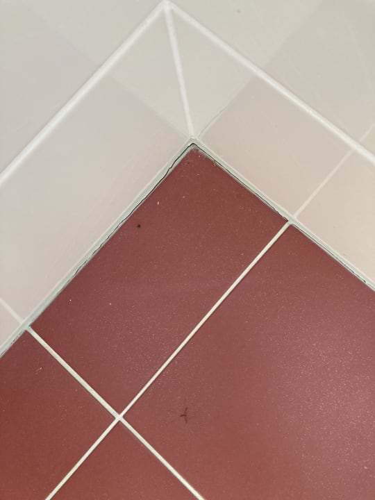 Zimmer Hotel Ossiacher See