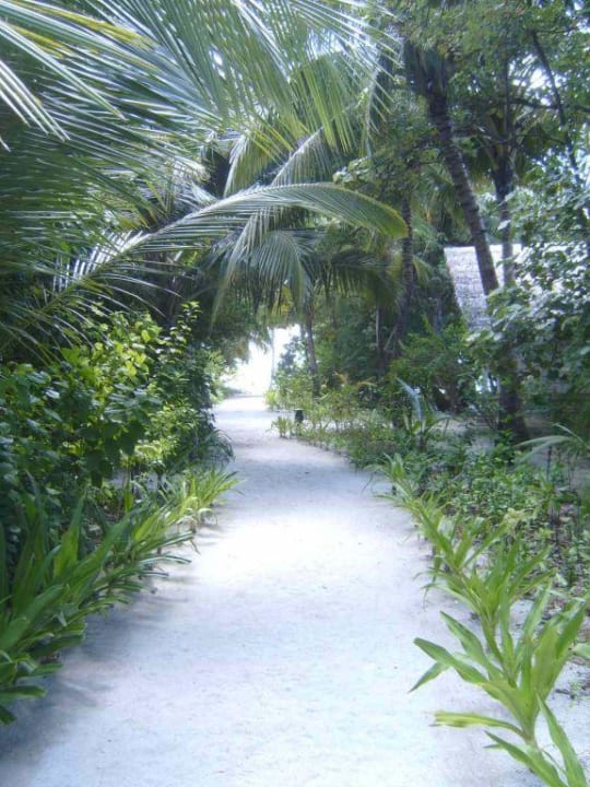 Inselweg Reethi Beach Resort