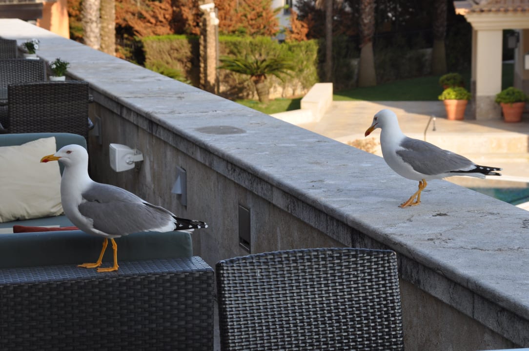 Gäste in Hotelbar Grande Real Villa Italia