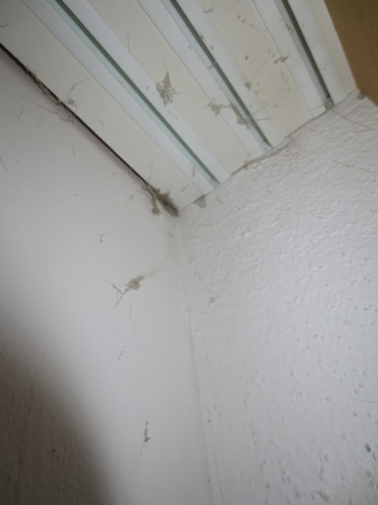 Zimmer Hotel Garni Alpenruh-Micheluzzi