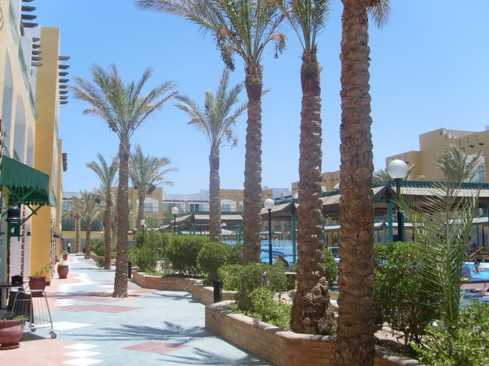 Ausblick C157 Bel Air Azur Resort - Adults only