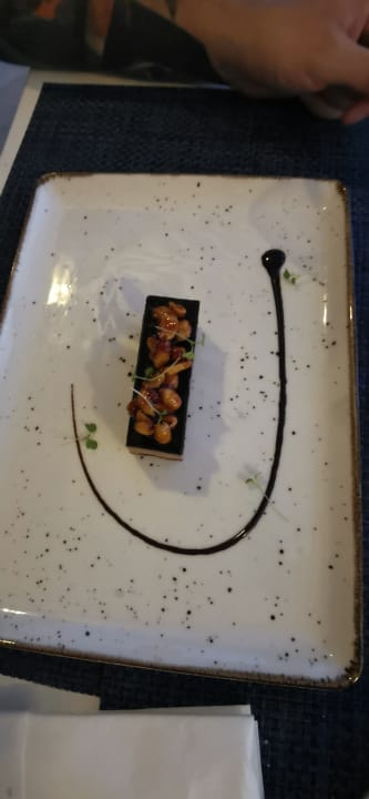 Gastro Acanthus Cennet Barut Collection