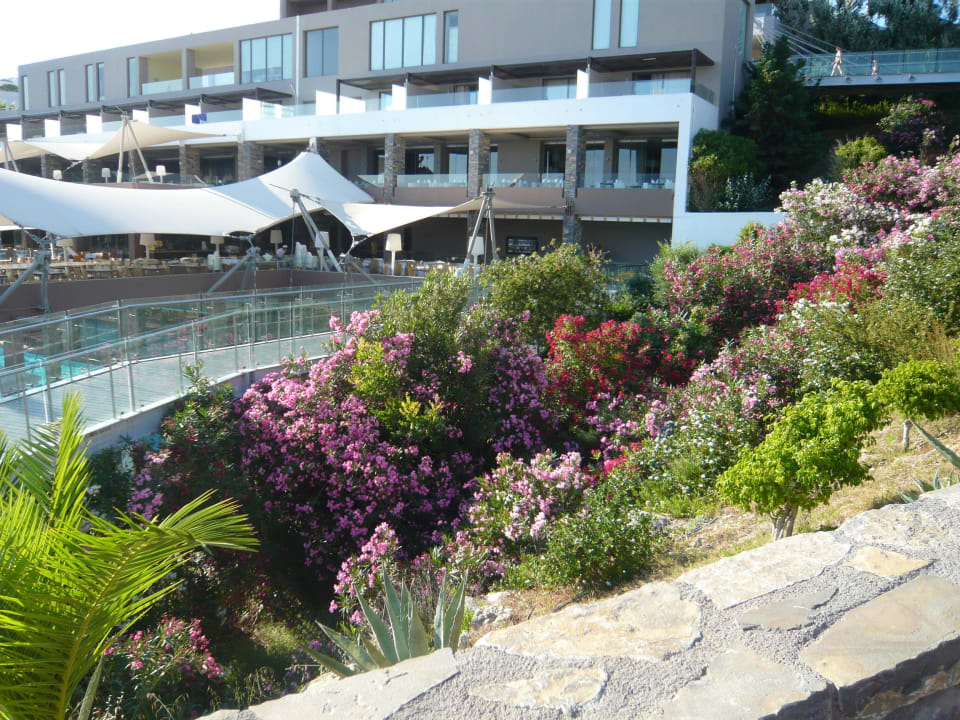 Schöne Anlage Atlantica Mikri Poli Crete