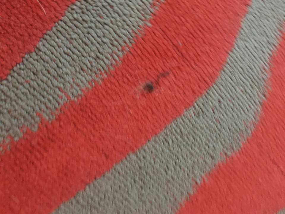 Zimmer Holiday Inn Manhattan-Financial District