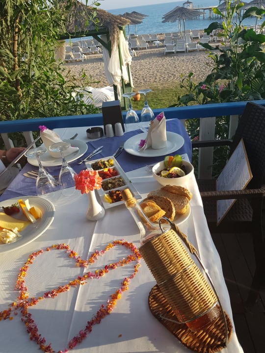 Gastro Selectum Family Comfort Side