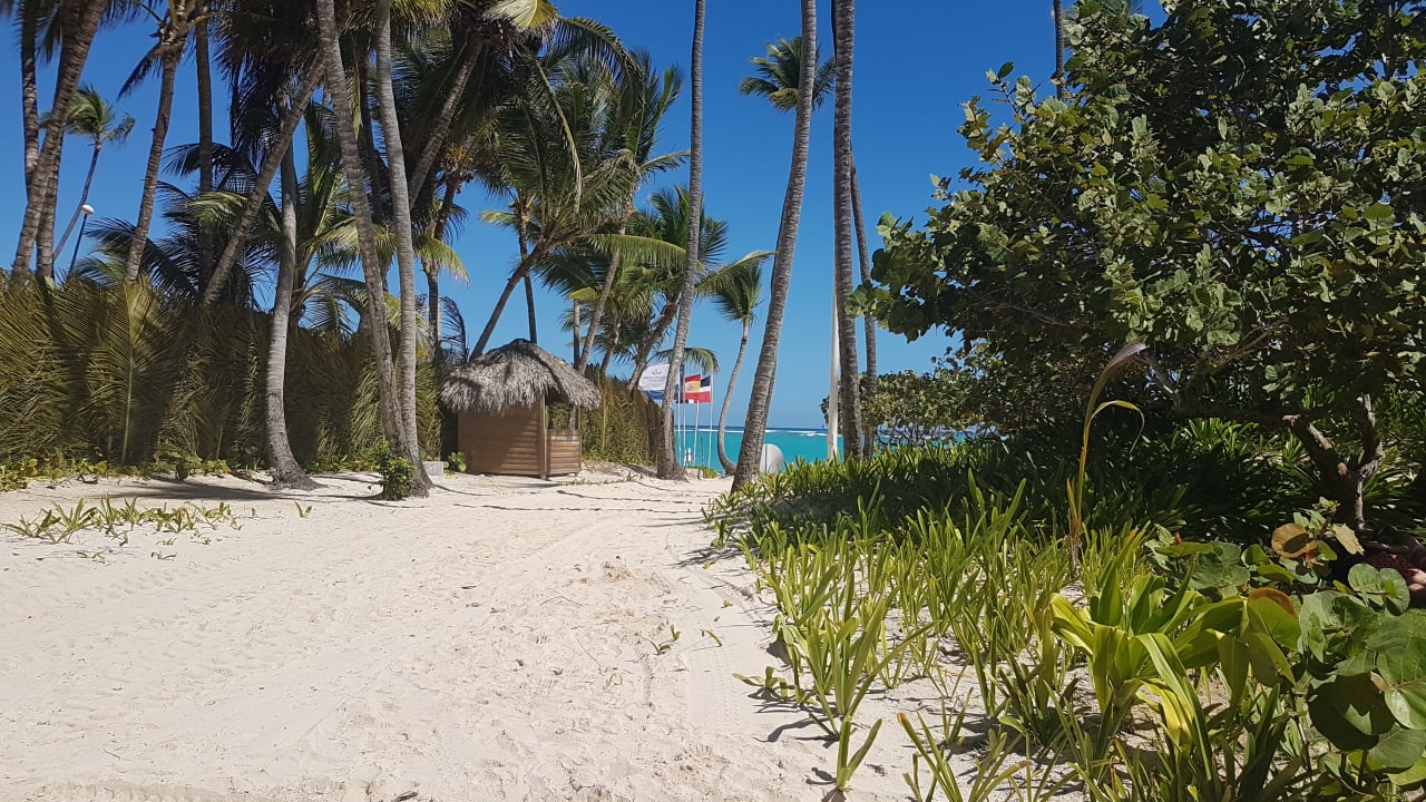 Ausblick Grand Palladium Punta Cana Resort & Spa