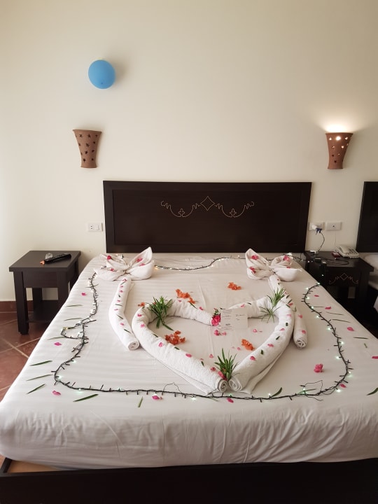 Zimmer Three Corners Sea Beach Resort