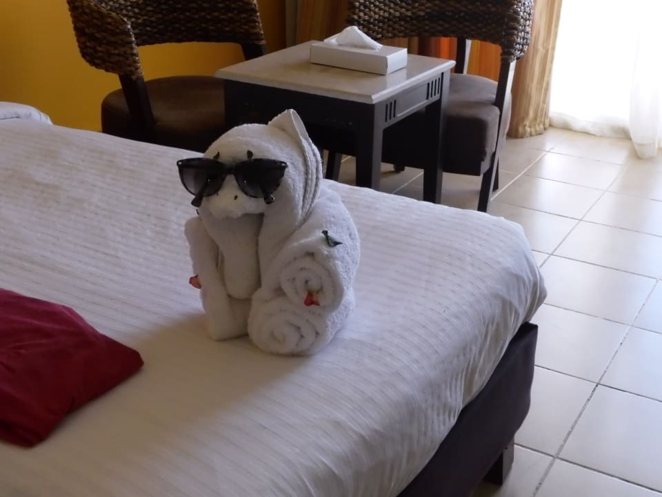 Zimmer Coral Sun Beach