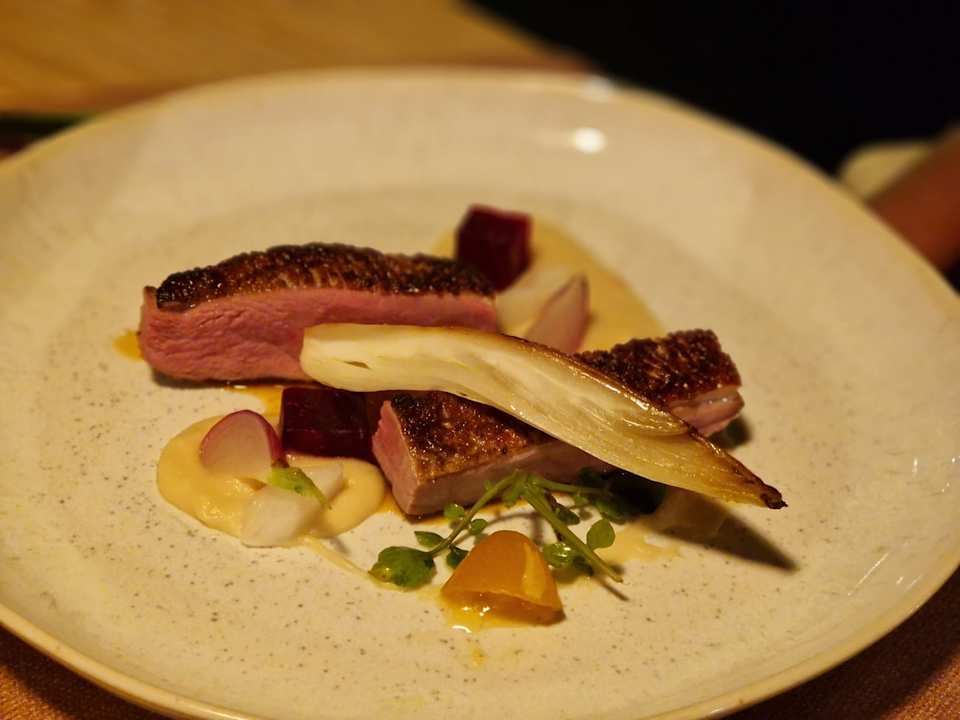 Gastro Lara Barut Collection