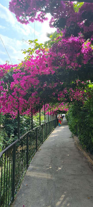 Gartenanlage My Home Resort