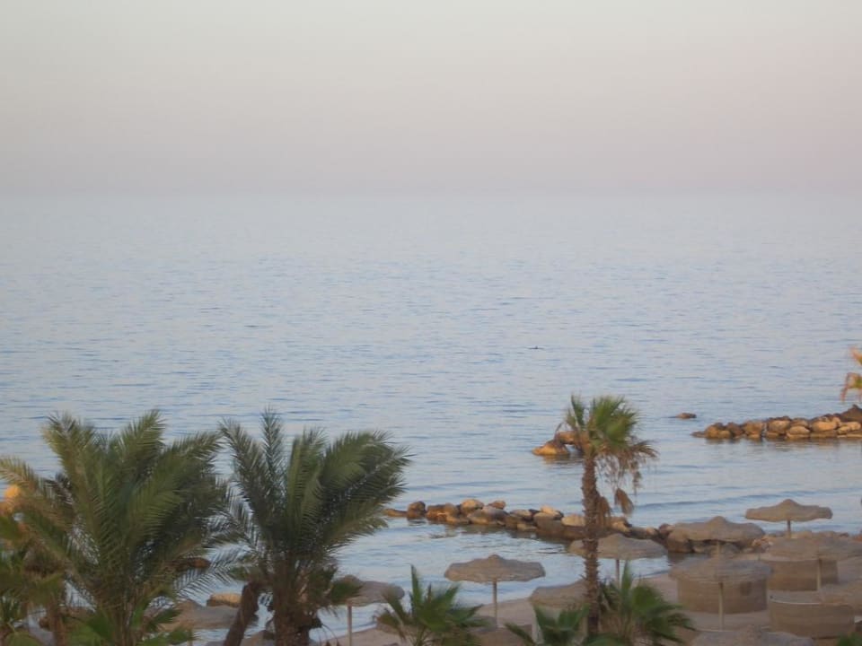 Ausblick Pickalbatros Citadel Resort