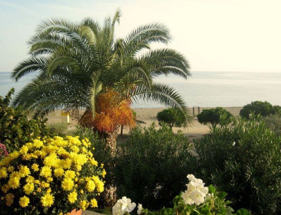 Garten Haus des Gartens / Pension Nikos