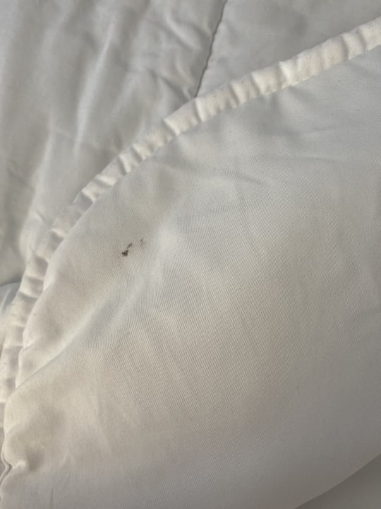 Zimmer Smy Kos Beach & Splash