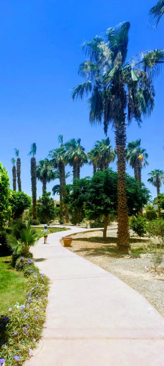 Gartenanlage Lotus Bay Beach Resort