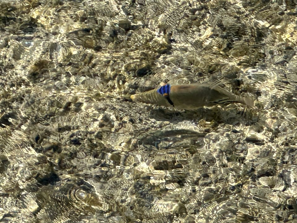 Strand Casa Mare Resort