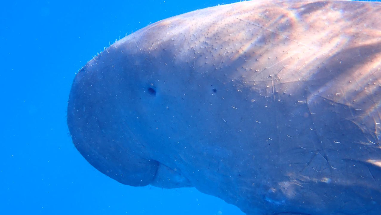 Sport & Freizeit Three Corners Equinox Beach Resort