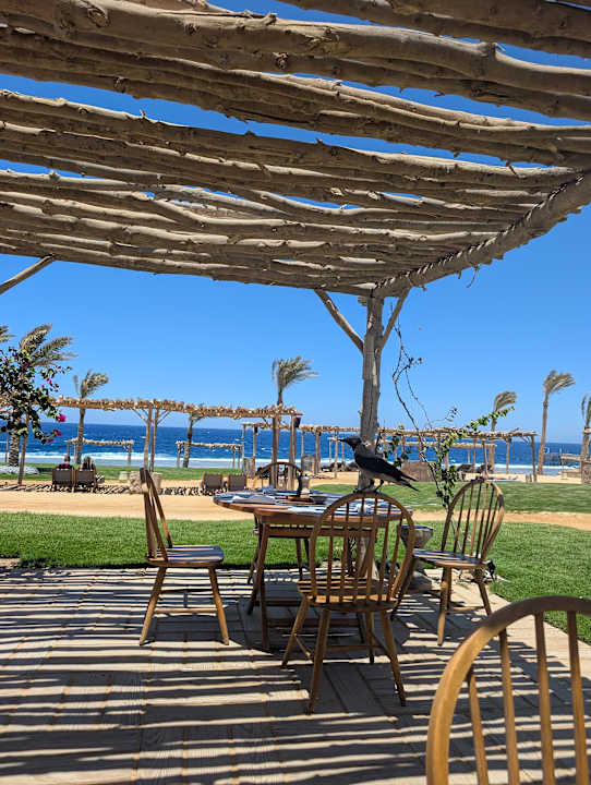 Strand Steigenberger Resort Alaya Marsa Alam - Red Sea - Adults only