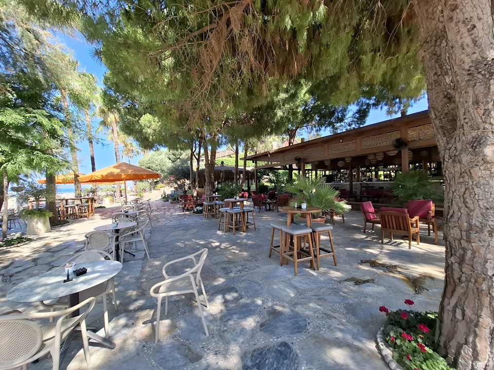 Gastro Arum Barut Collection