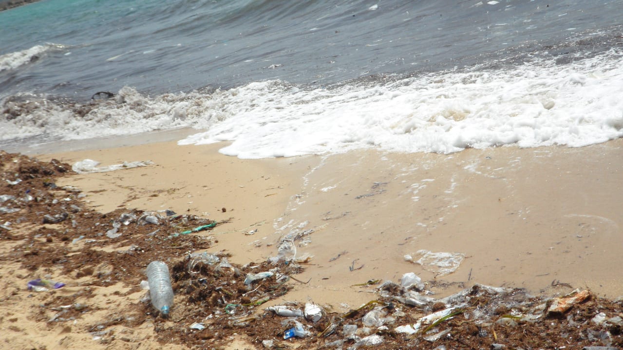 So sah Strand nach dem Sturm Juli 2013 Medina Solaria & Thalasso