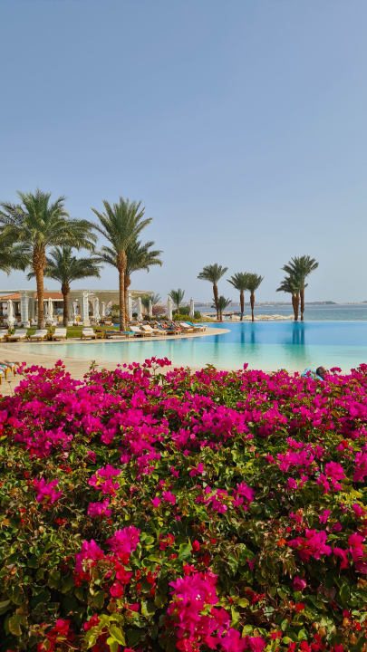 Pool Baron Palace Sahl Hasheesh