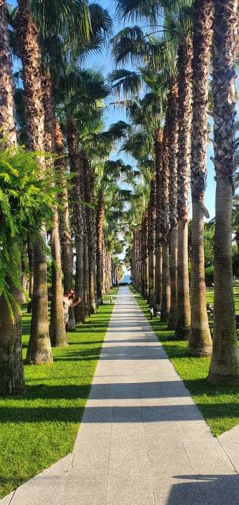 Gartenanlage Hotel Miramare Beach