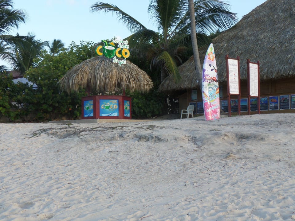Cocosnussbar Royalton Splash Punta Cana