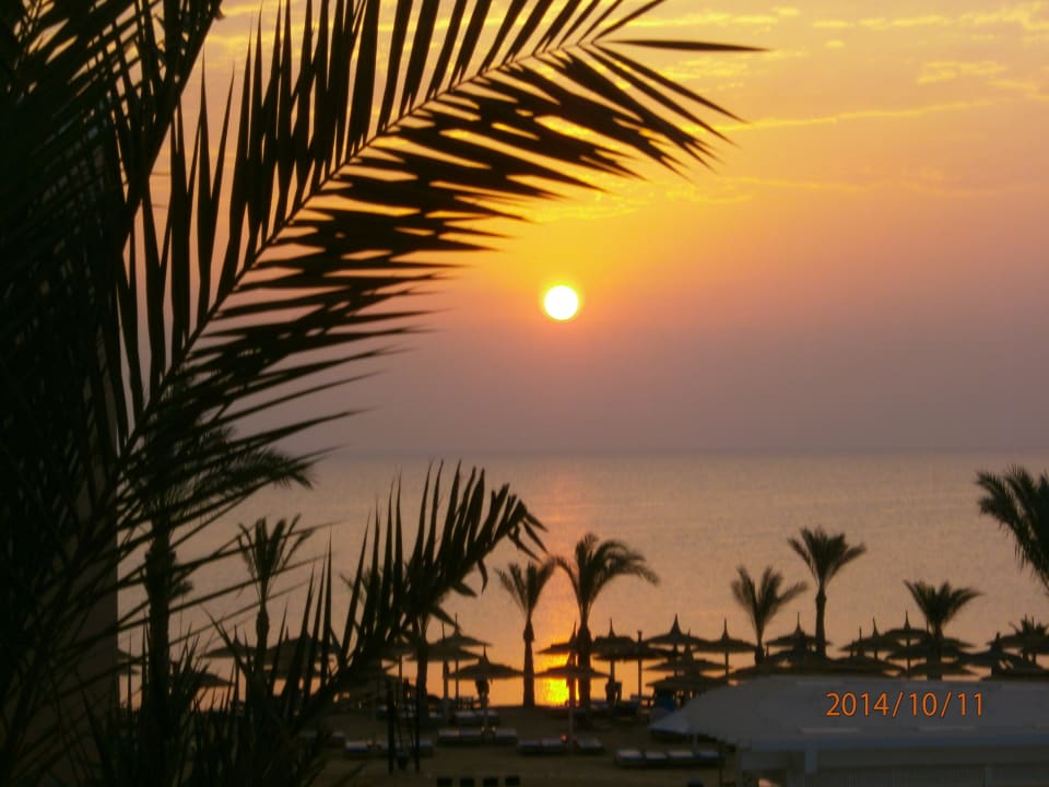 Ein Traum-Sonnenaufgang Beach Albatros Resort