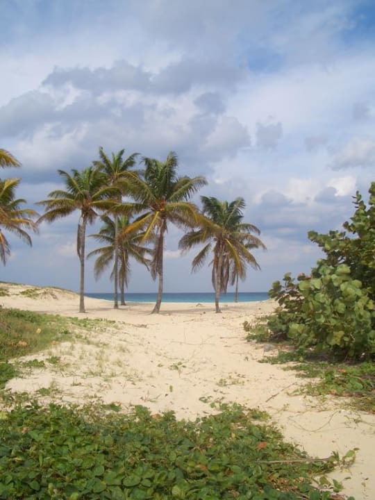 Zugang zum Strand Hotel Cayo Largo del Sol