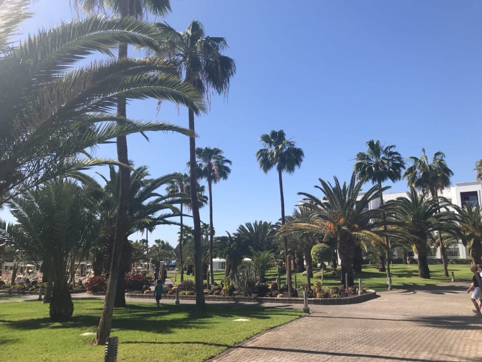 Gartenanlage Hotel Riu Gran Canaria