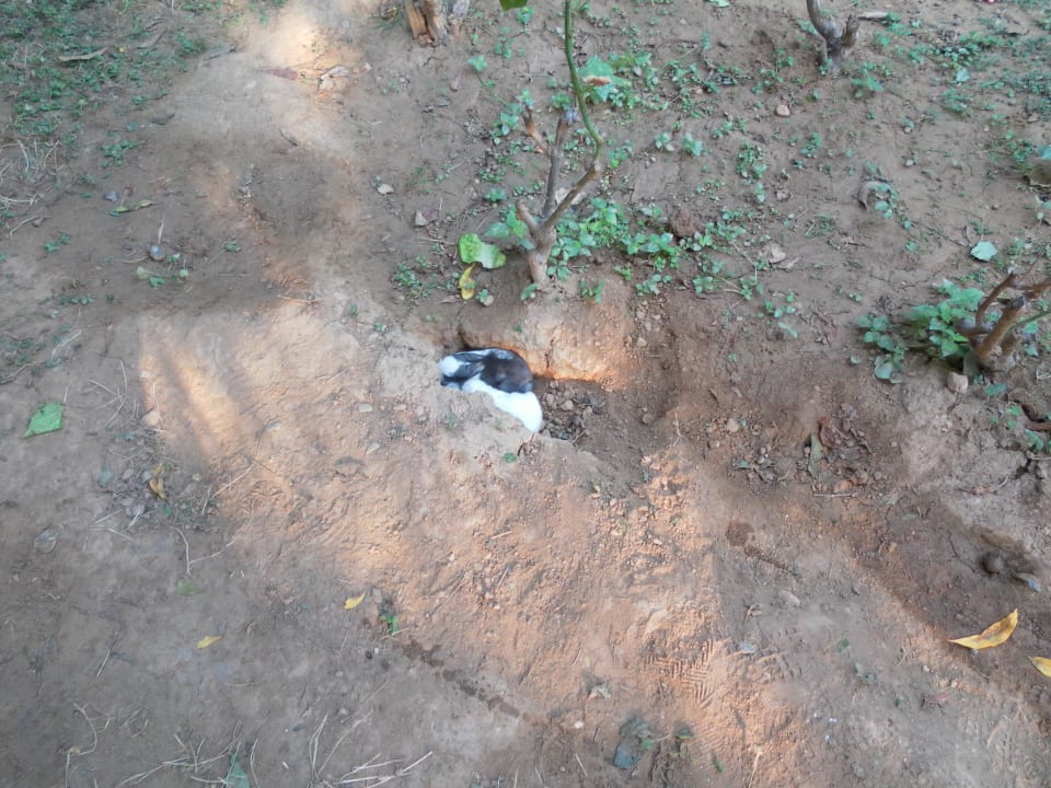 Die 4 Jungen bei unserer Ankunft - Erdloch Grand Kaptan