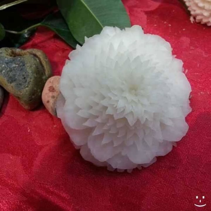 Hotel jole urlaub vacances holidays vacanze Hotel Jole