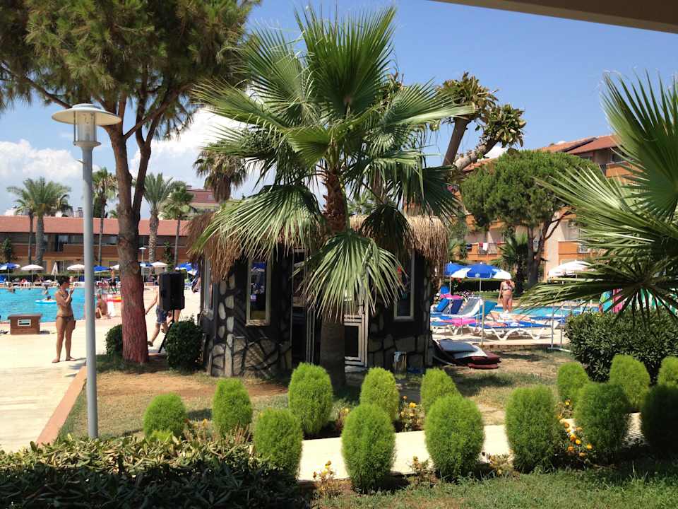 Второй бассейн Club Turtas Beach Hotel