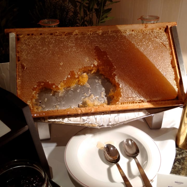 Restaurant Dorint Hotel Leipzig