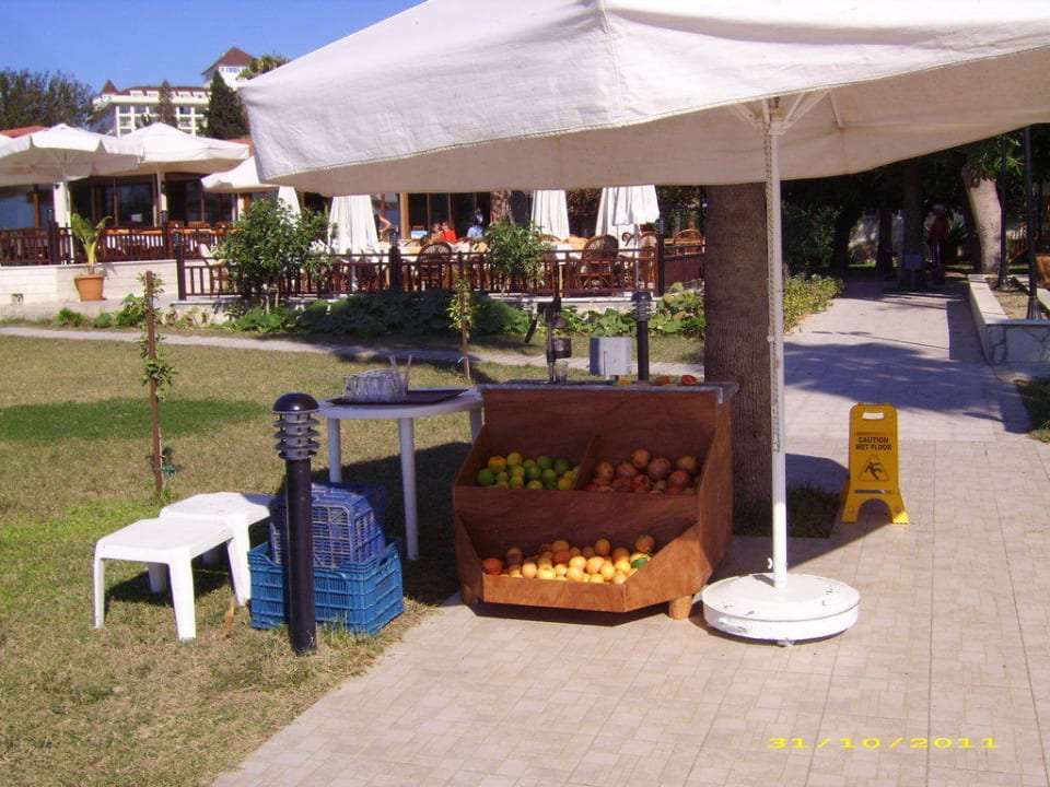 Frisch gepreßter Saft, lecker, lecker Hotel Sirma