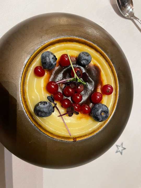 Gastro Acanthus Cennet Barut Collection
