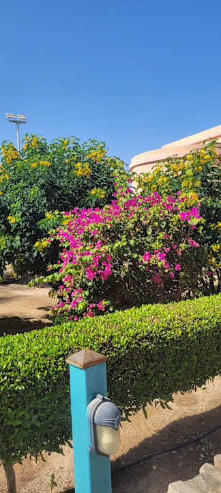 Außenansicht Mövenpick Resort & Spa El Gouna